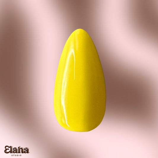 YANKEE YELLOW