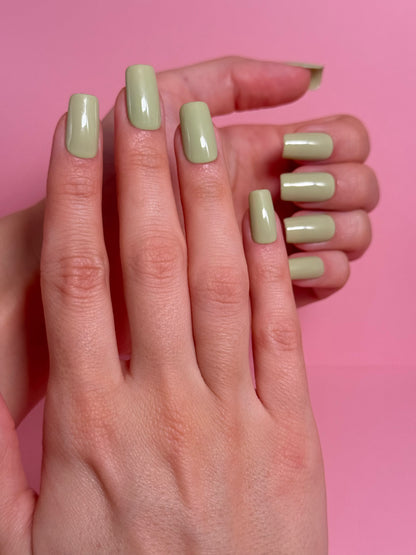 MATCHA MATCHA
