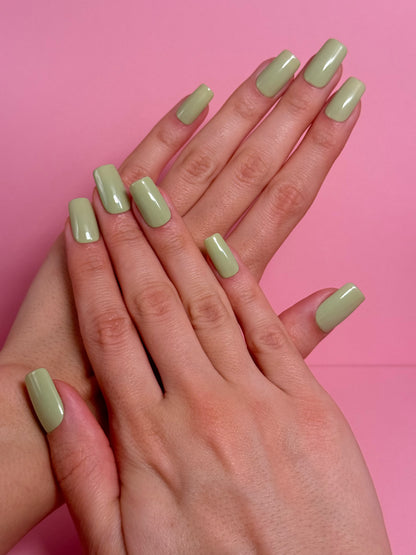 MATCHA MATCHA
