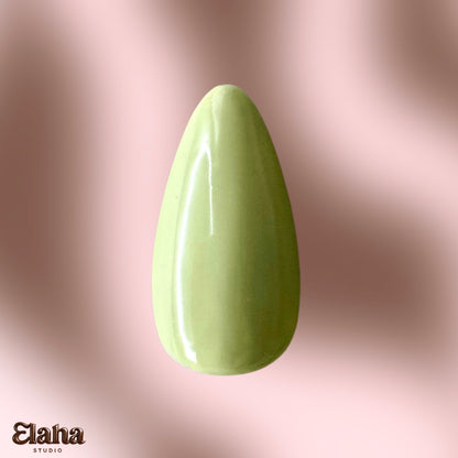 MATCHA MATCHA